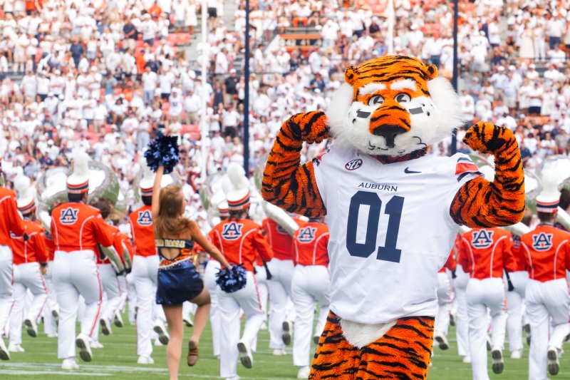 Aubie on the field