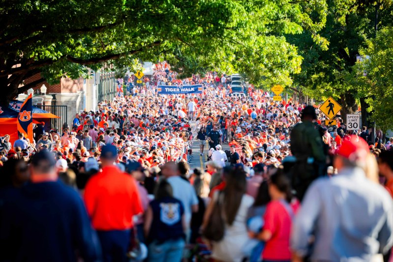 Tiger Walk