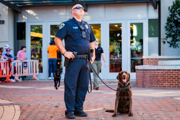 police officer with bomb sniffing dog