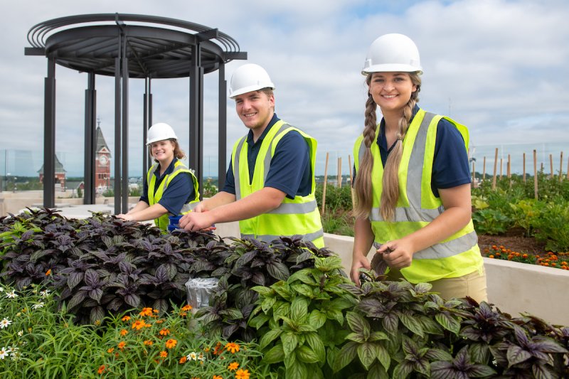 Students at rooftop garden