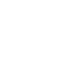 Canvas Instructor 