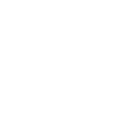 Retention, Tenure, and Promotion