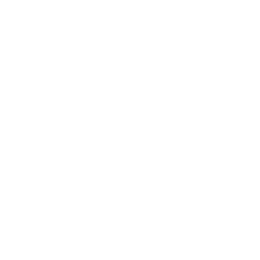 SLICE