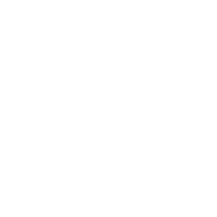 Training & Development