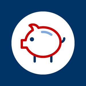 my financial aid icon