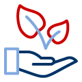 my plan of study icon