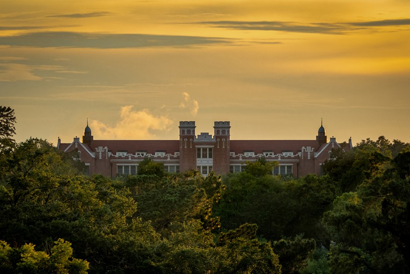 distant view of the Wescott building with tree tops and sunset sky