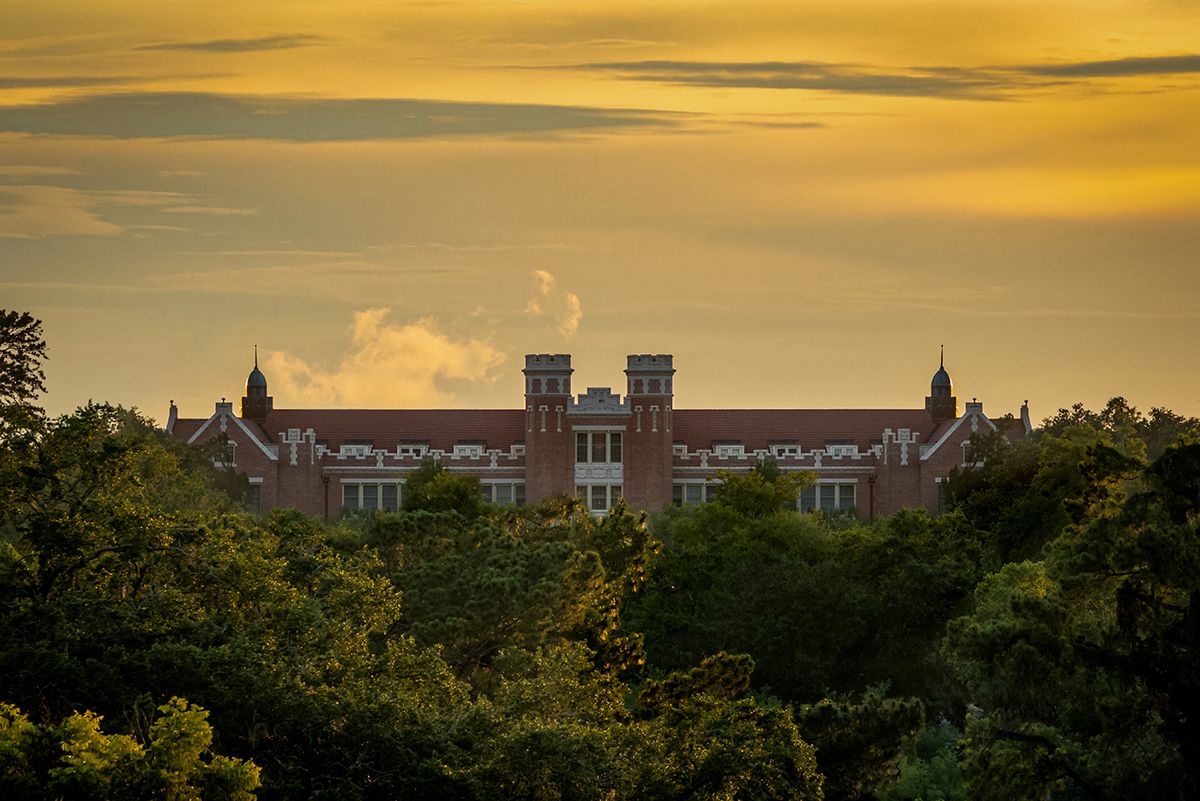 distant view of the Wescott building with tree tops and sunset sky
