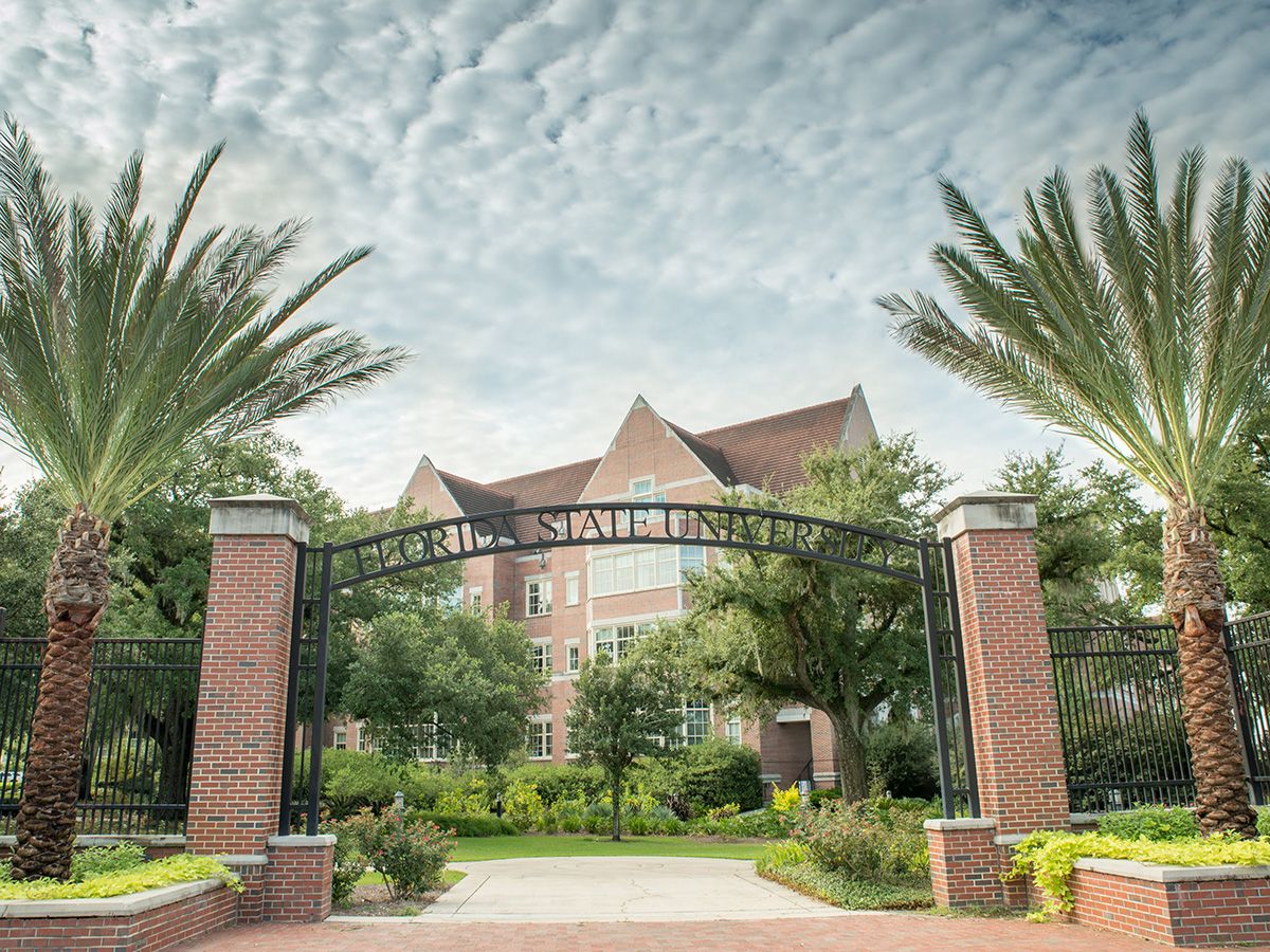 Arched walkway entrance with palm tress leading to brick building