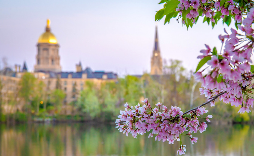 The golden dome and basillica view from behind the lake