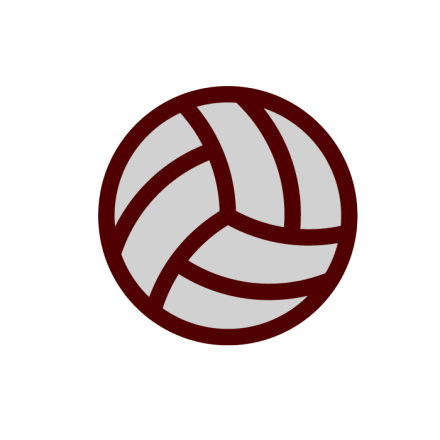 Volleyball ball icon: Women's Sports