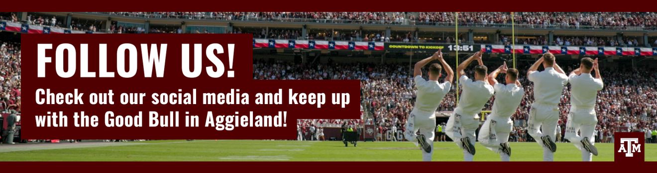 Horizontal banner featuring TAMU Yell Leaders performing on Kyle Field in front of a full stadium. Text reads "Follow us! Check out our social media and keep up with the good bull in Aggieland!