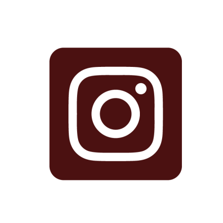 Instagram Icon