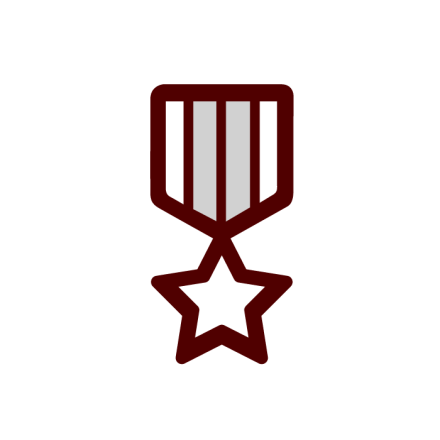 Medal icon: Veterans' Support