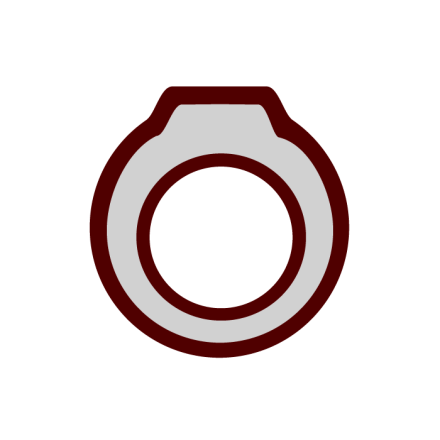 Aggie Ring icon: Ring Day
