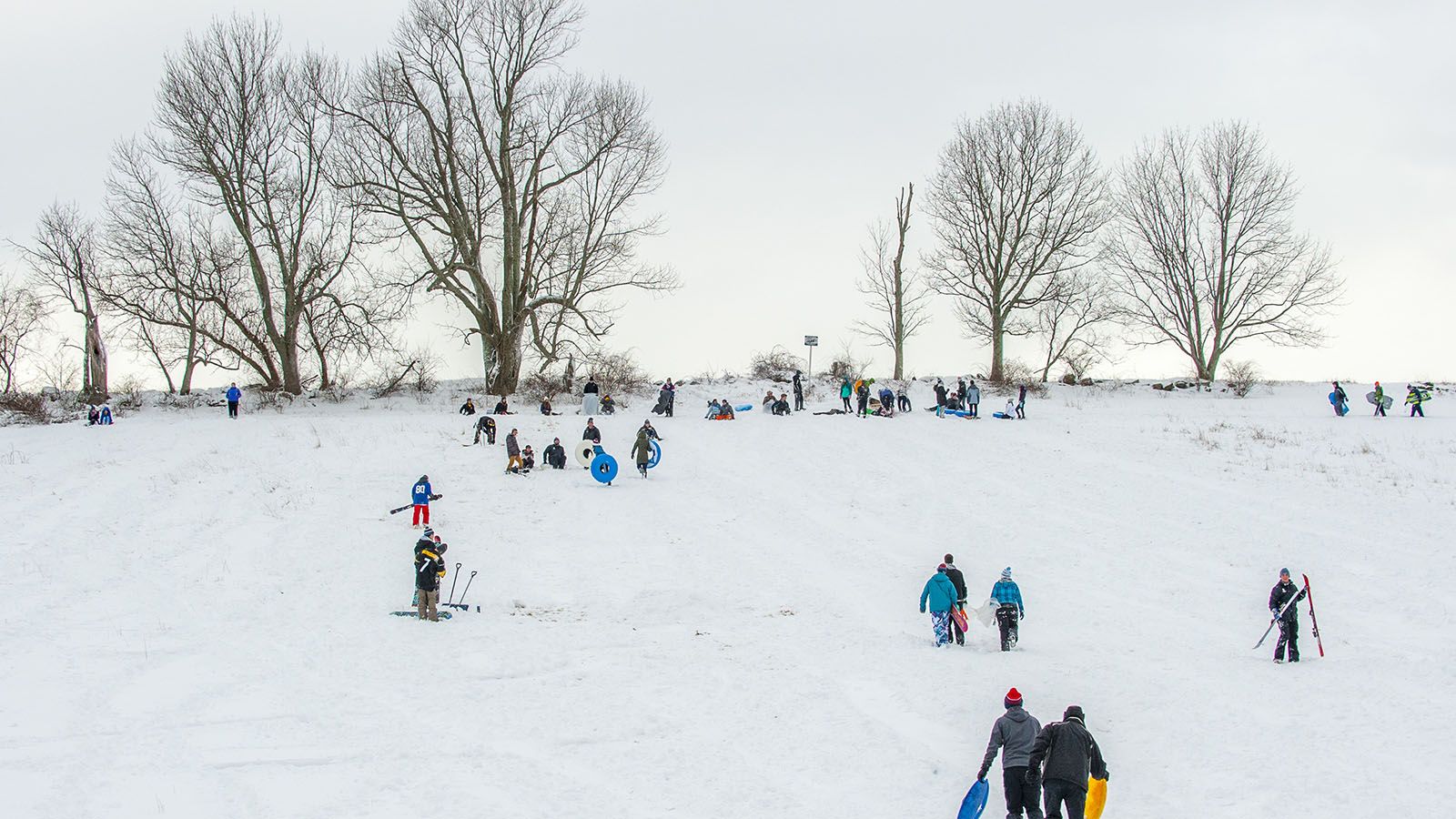 Sledding down Horsebarn Hill