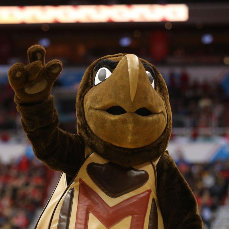 Testudo at the Xfinity center