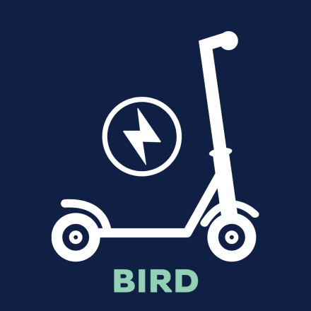 Bird icon Grid Item