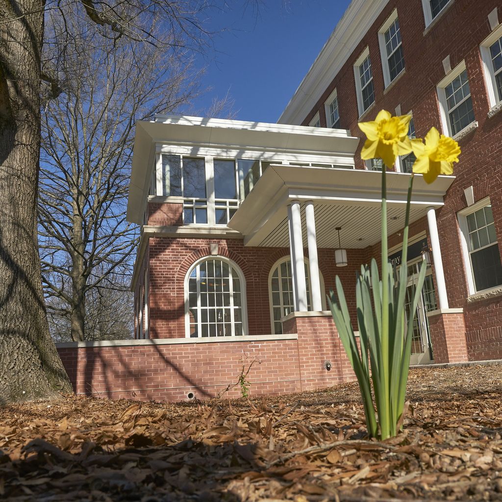 The start of Spring pops up on the Quad.