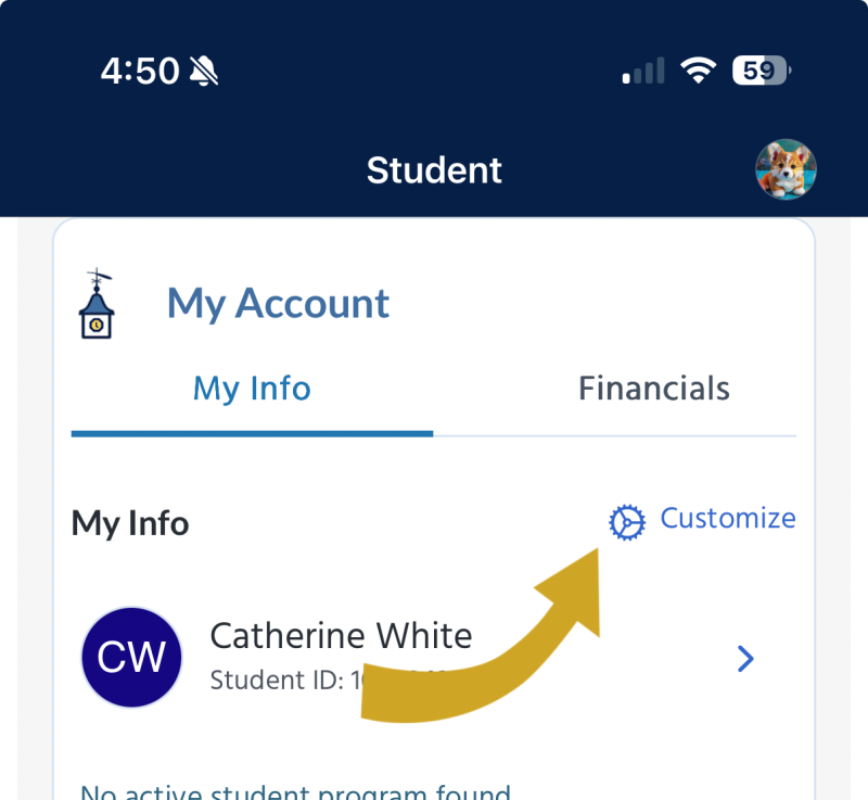 Screenshot of the Rhody Connect homepage, with a large gold arrow pointing to the Customize icon in the My Account section.