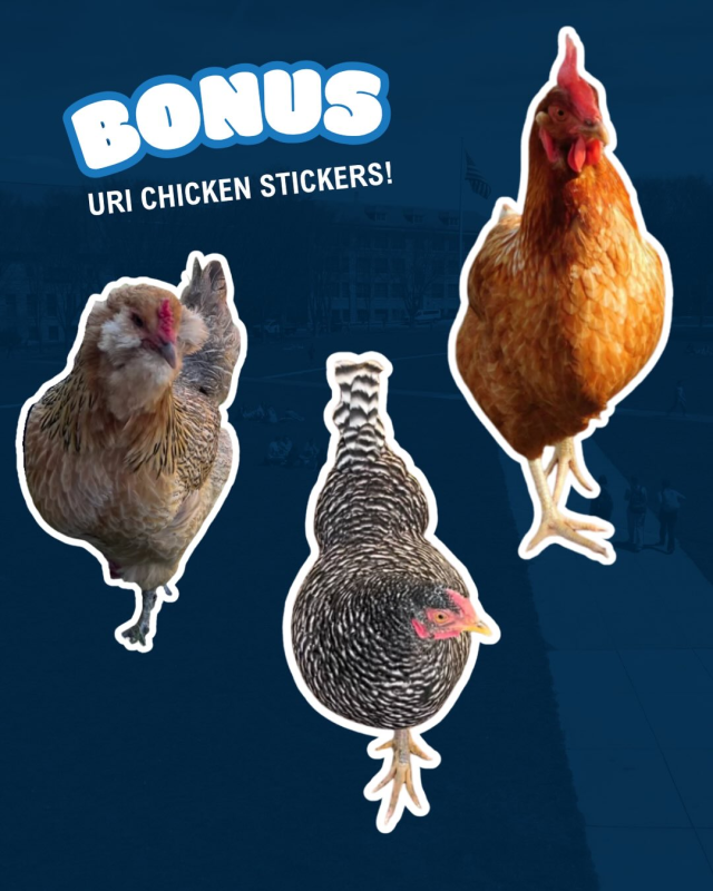 Graphic #3 featuring five sticker-style images of chickens on a dark blue background