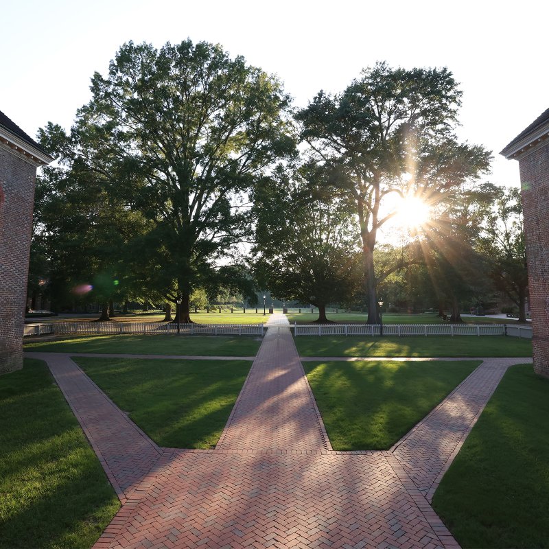 Wren Courtyard on a sunny day