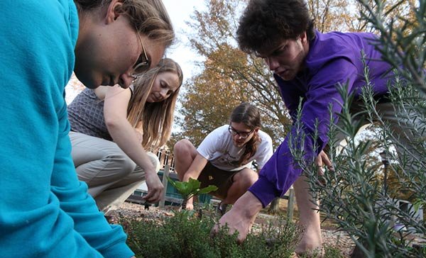 A group of students gardening.