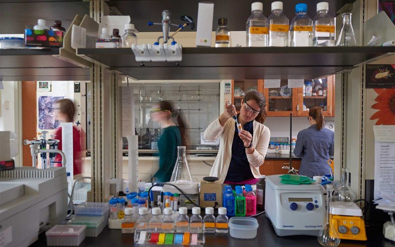 Person working in a laboratory, viewed through shelving lined with bottles, tubes and colorful sample containers.